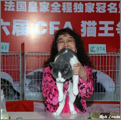 Yaeko 3rd Best Cat